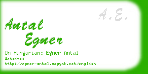 antal egner business card